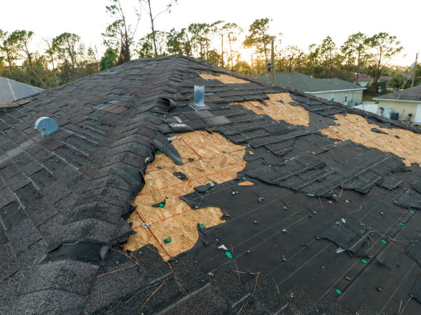 Best Sheet Metal Roofing  in Tavares, FL